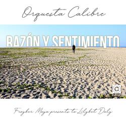 Razón y Sentimiento
