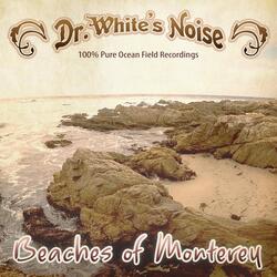 Distant Roar at the Carmel Tidepools