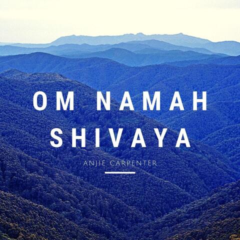 Om Namah Shivaya