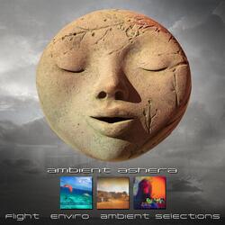 Understanding (Ambient Selections)