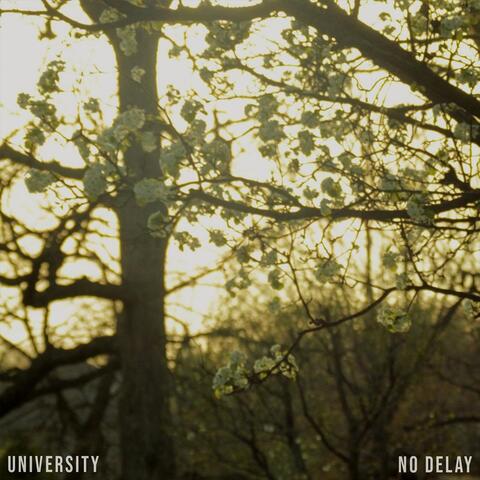 No Delay