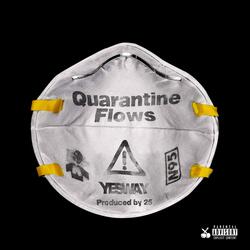 Quarantine Flows