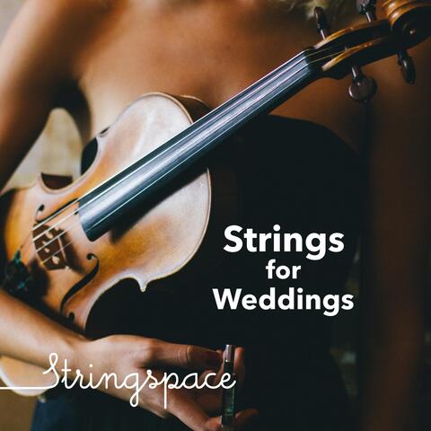 Strings for Weddings