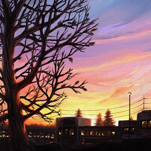 The Sun Sets over Orchards, Washington