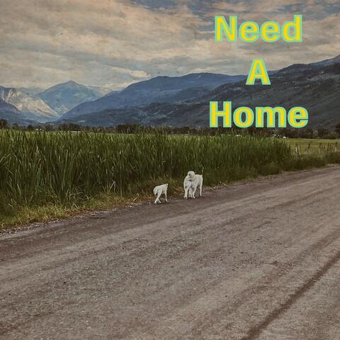 Need a Home