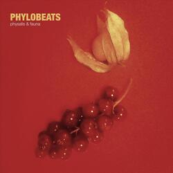 Physalis & Fauna