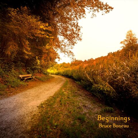 Beginnings