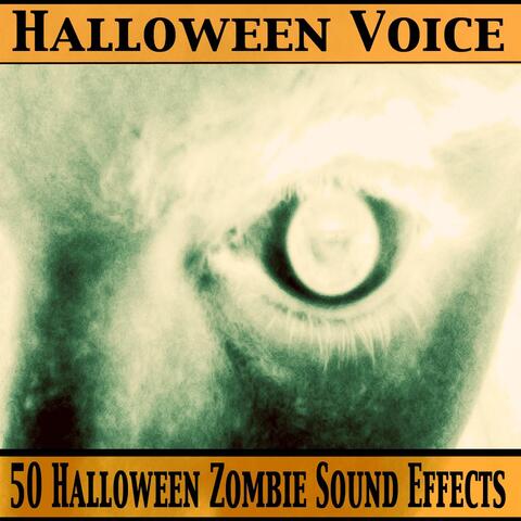 50 Halloween Zombie Sound Effects