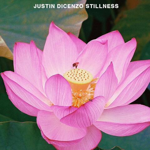 Stillness