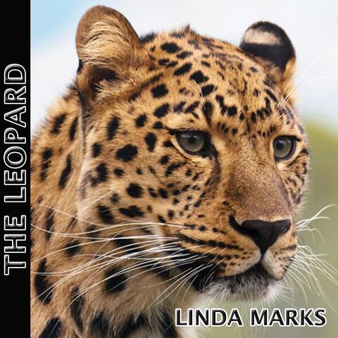 The Leopard