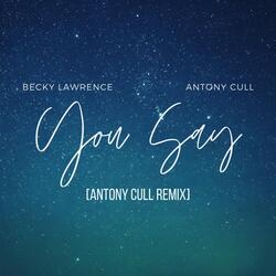 You Say (Antony Cull Remix)