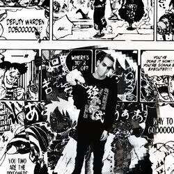 The Tortoise and the Hare