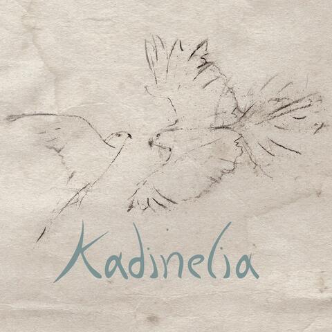 Kadinelia