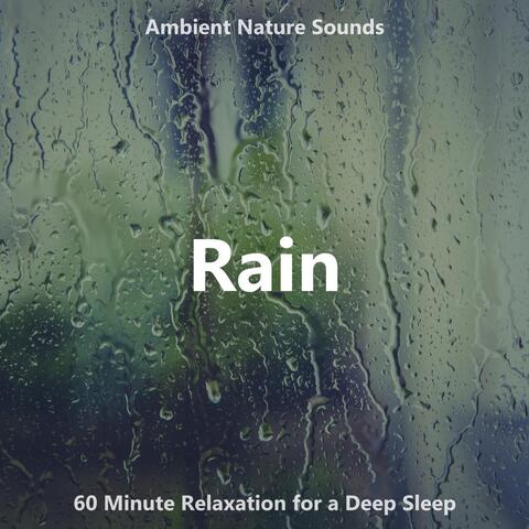 Ambient Nature Sounds: Rain (60 Minute Relaxation for a Deep Sleep)