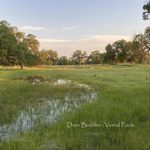 Vernal Pools