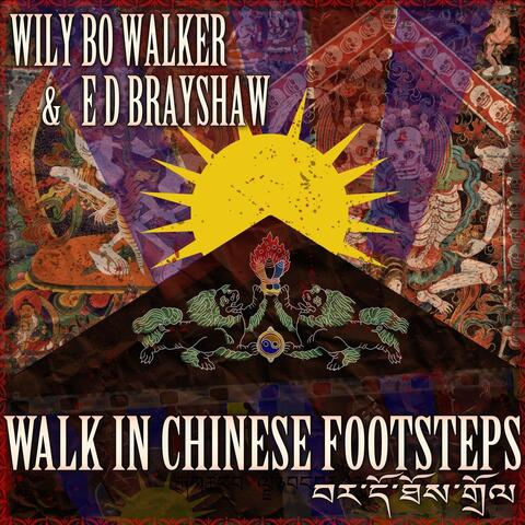 Walk in Chinese Footsteps