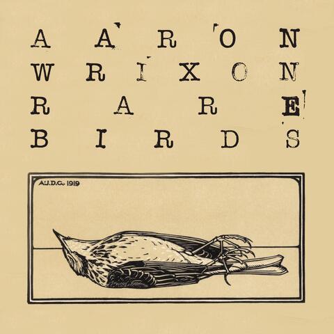 Rare Birds: Home Recordings 1995–2020