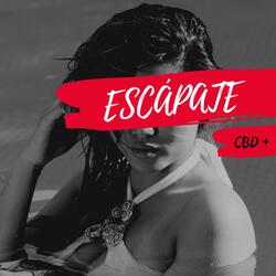 Escapate