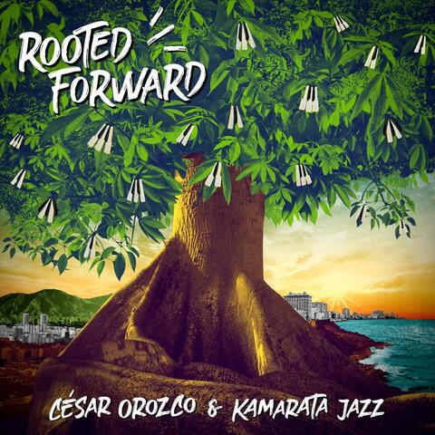 Rooted Forward
