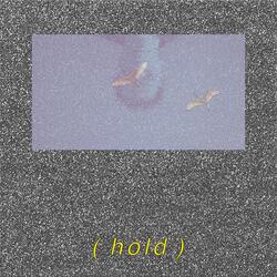 Hold