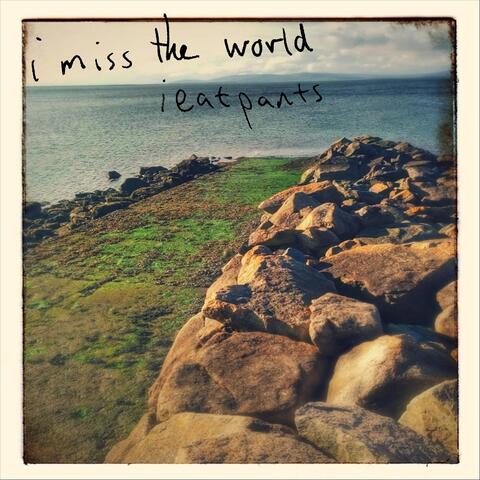 I Miss the World
