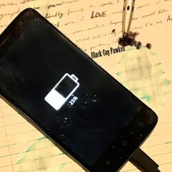 23%
