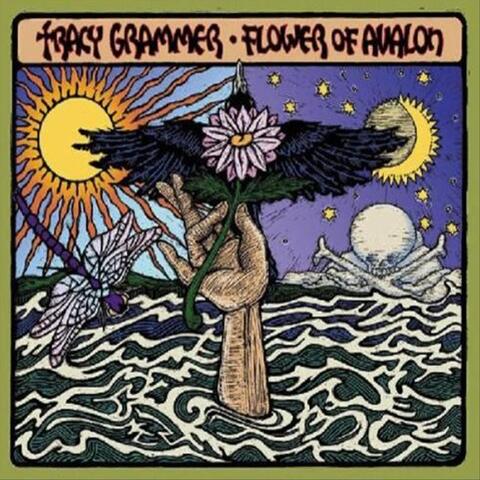 Tracy Grammer