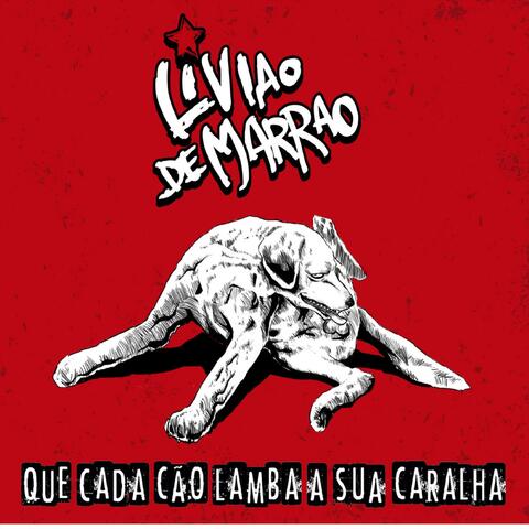Que Cada Cão Lamba A Sua Caralha