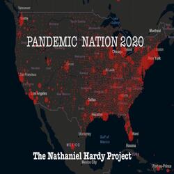 Pandemic Nation 2020