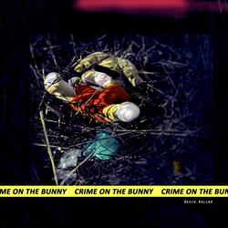 Crime on the Bunny (feat. Arve Henriksen & Pat Mastelotto)