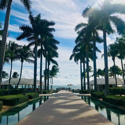Tropical Paradise