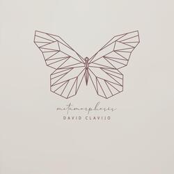 Metamorphosis