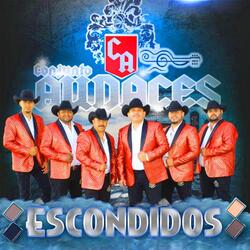 Escondidos