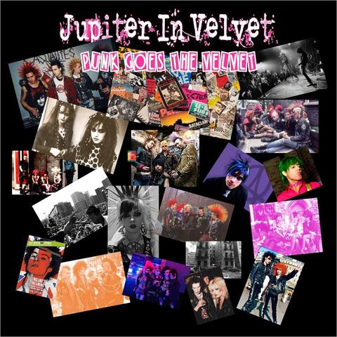 Punk Goes the Velvet