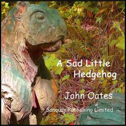 A Sad Little Hedgehog