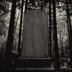 Cut Down Love (feat. Baileys Ghost)