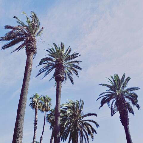 Another Day in Paradise (feat. Ben Thomas)
