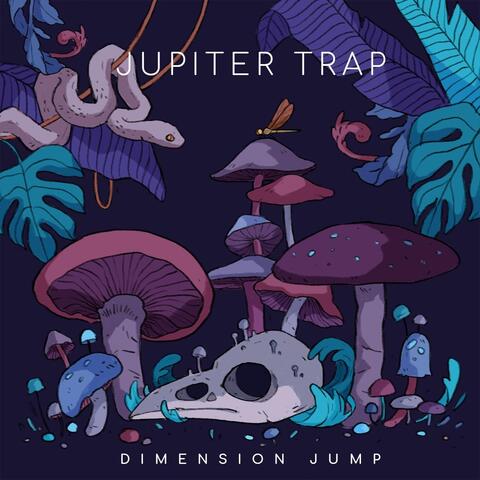 Dimension Jump
