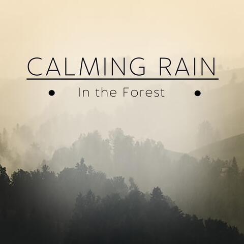 Calming Rain in the Forest