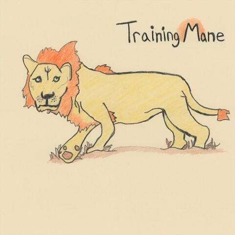 Training Mane