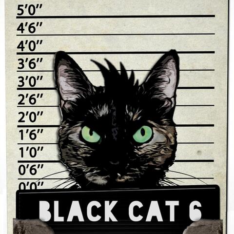 Felons
