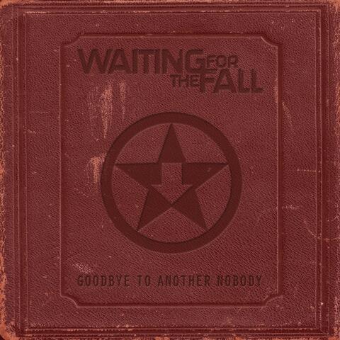 Goodbye to Another Nobody