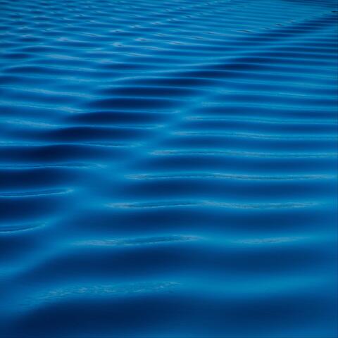 Follow the Line