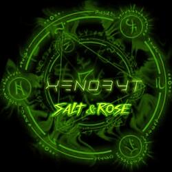 Salt & Rose (feat. Zoe Sol)