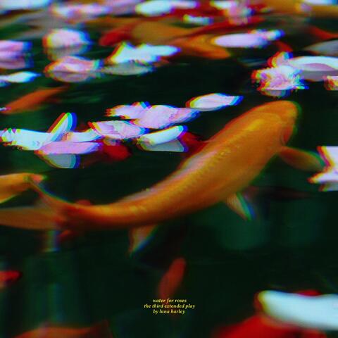 Water for Roses EP