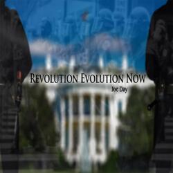 Revolution Evolution Now