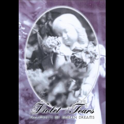 Fragments of Broken Dreams