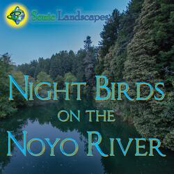 Night Birds on the Noyo River