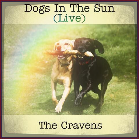 Dogs in the Sun (Live)