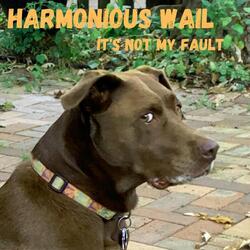 It's Not My Fault (Remix)